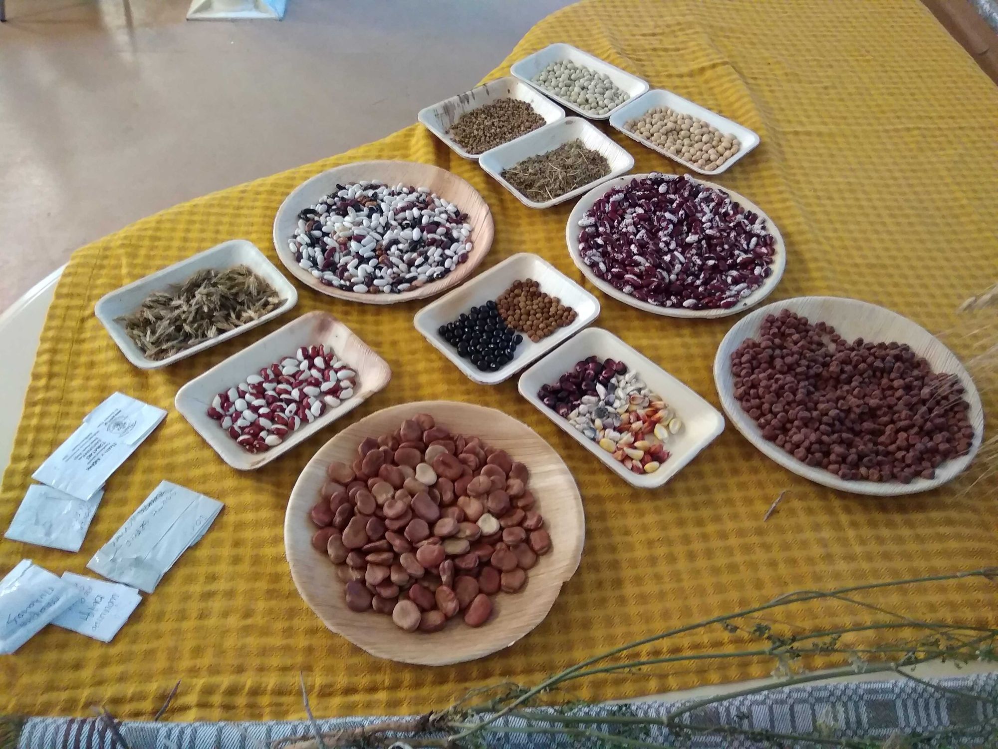 Seed savers course, Vilnius 01-02.02.2020